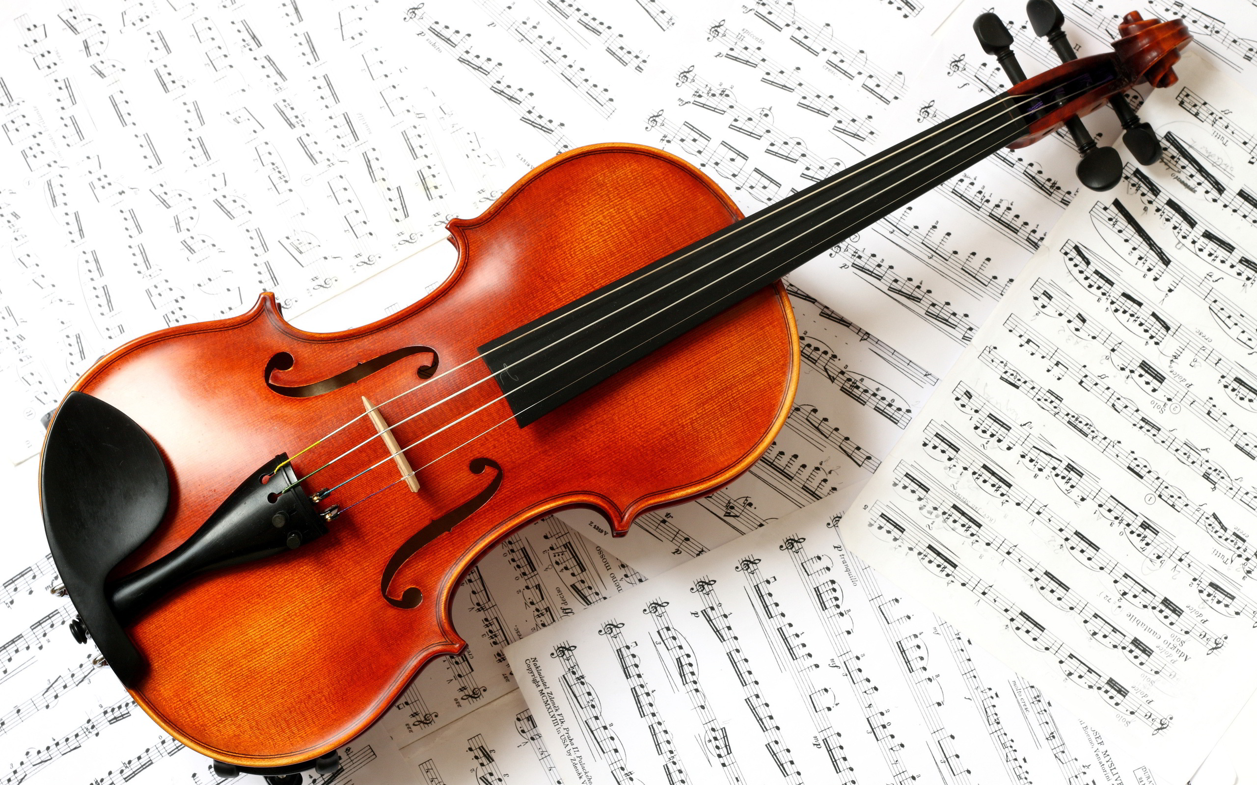 Violin